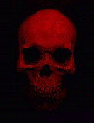 Red_sk~1.gif (12390 bytes)